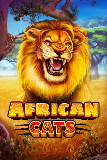 African Cats играть демо версию | SlotoKing без регистрации