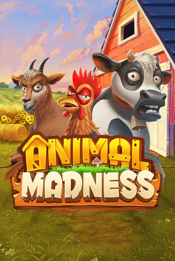 Animal Madness играть демо версию | SlotoKing без регистрации