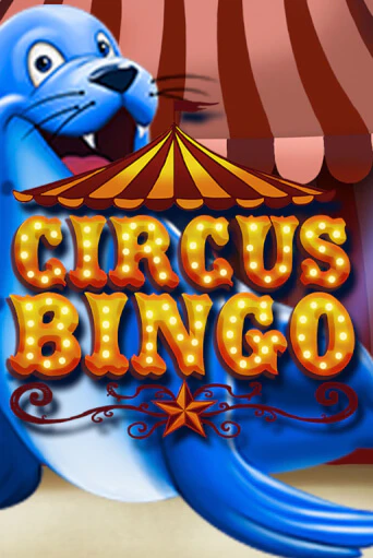 Circus Bingo играть демо версию | SlotoKing без регистрации