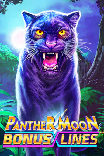 Panther Moon: Bonus Lines™ играть демо версию | SlotoKing без регистрации
