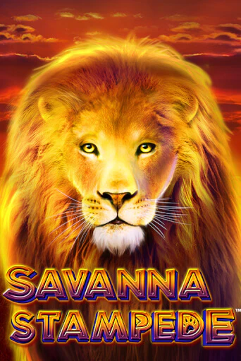 Savanna Stampede играть демо версию | SlotoKing без регистрации