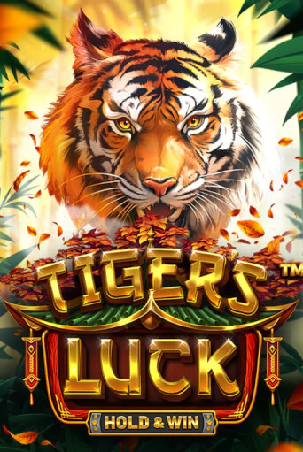 Tiger's Luck - Hold & Win играть демо версию | SlotoKing без регистрации
