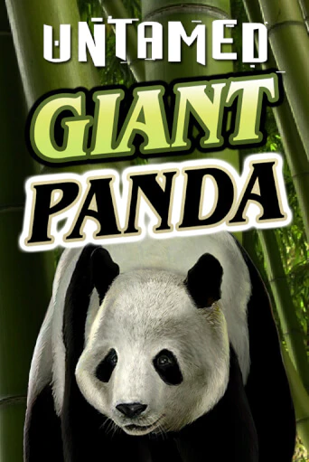 Untamed - Giant Panda играть демо версию | SlotoKing без регистрации