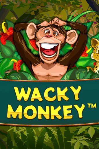 Wacky Monkey играть демо версию | SlotoKing без регистрации