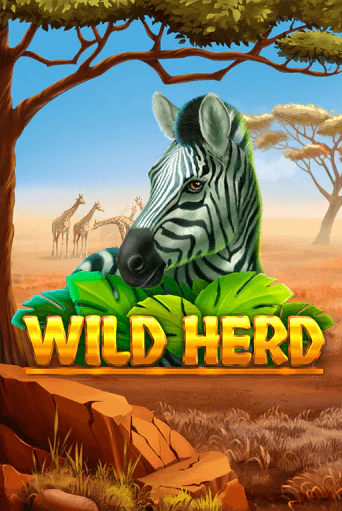 Wild Herd играть демо версию | SlotoKing без регистрации