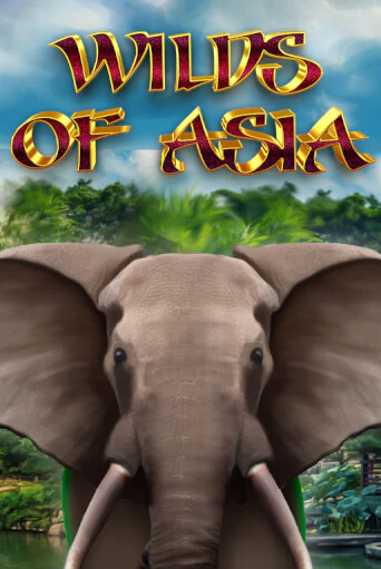 Wilds of Asia играть демо версию | SlotoKing без регистрации