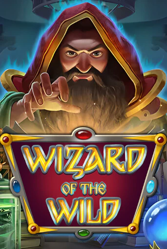 Wizard of the Wild играть демо версию | SlotoKing без регистрации