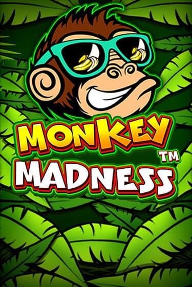 Monkey Madness играть демо версию | SlotoKing без регистрации