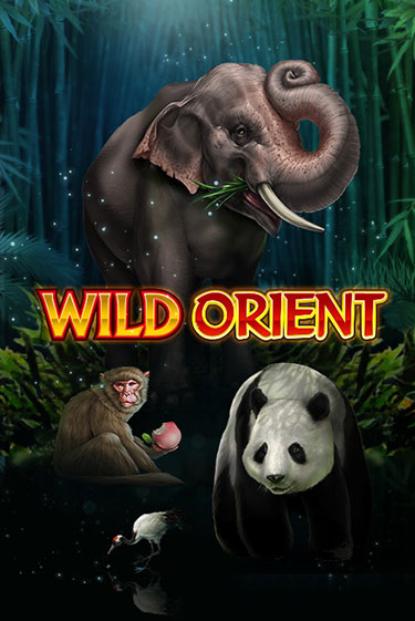 Wild Orient играть демо версию | SlotoKing без регистрации