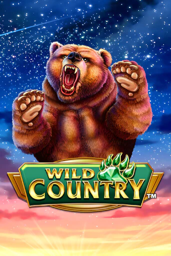 Wild Country играть демо версию | SlotoKing без регистрации